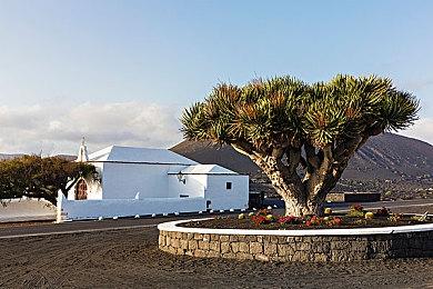 《幻兽帕鲁》Steam销量破1500万 Xbox玩家数破1000万